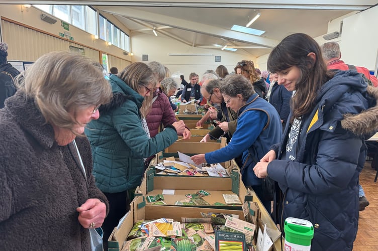 Looking through some of the seeds available at Sustainable Crediton Seed Share.  AQ 5233

