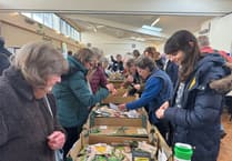 Seed share was busy throughout