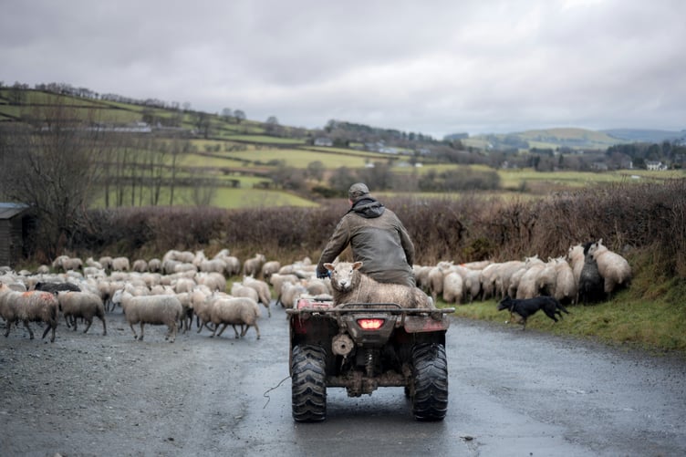 The Sustainable Farming Scheme has sparked debate among farmers.