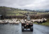 Supporting nature through sustainable farming?