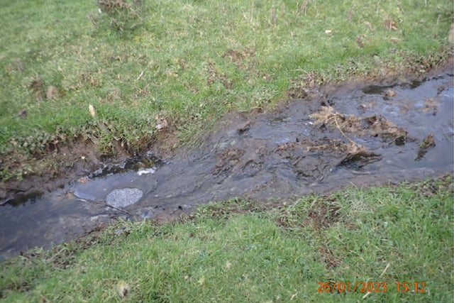 Devon farmer convicted after slurry spill kills hundreds of fish