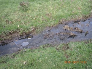 Devon farmer convicted after slurry spill kills hundreds of fish