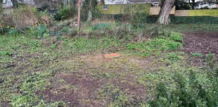 Letter: Peoples' Park says goodbye to an old friend
