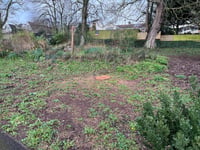 Letter: Peoples' Park says goodbye to an old friend
