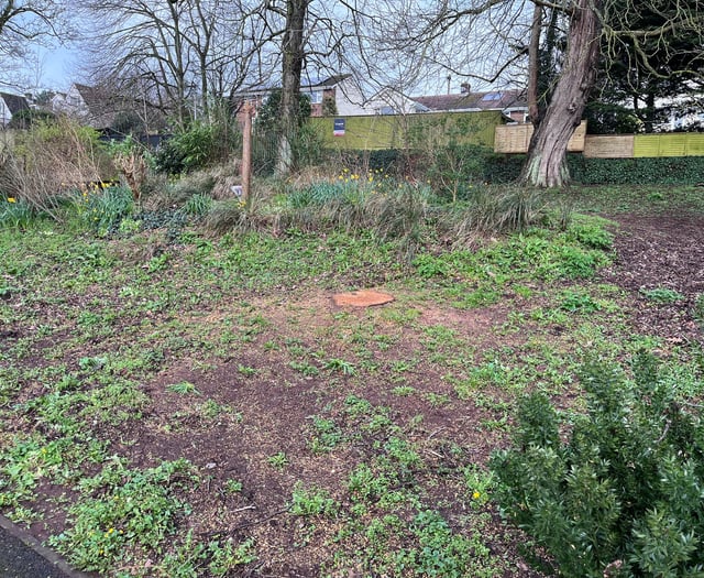 Letter: Peoples' Park says goodbye to an old friend
