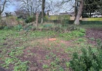 Letter: Peoples' Park says goodbye to an old friend