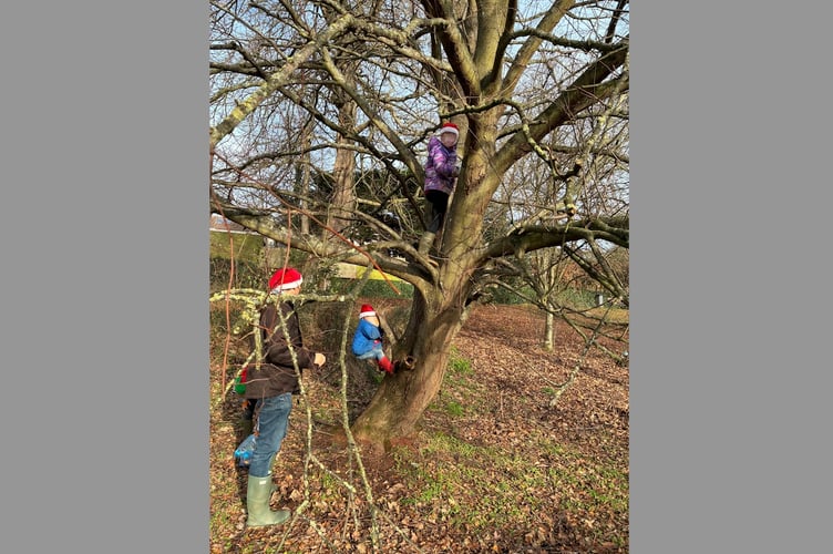 Children playing in the now felled tree in December.
