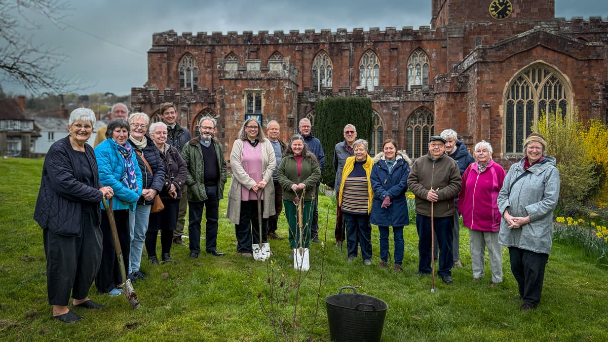 Mongolia tree planted in Crediton to mark Archbishop’s connection