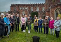 Mongolia tree planted in Crediton to mark Archbishop’s connection
