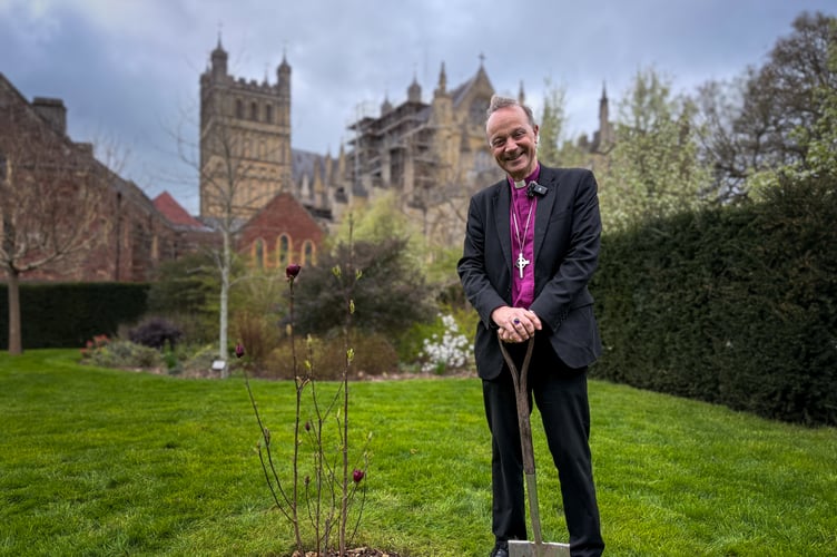 Bishop Mike with the magnolia he planted to commemorate the Installation of the new Archbishop of Canterbury.