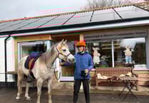 Horse power to enjoy Toasties in Kennerleigh