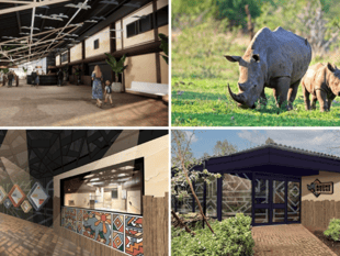 Zoo unveils massive transformation plans