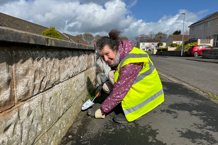 Clearing weeds in Copplestone.  AQ 8101
