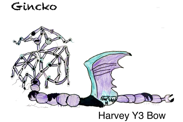 Gincko by Y3 Bow pupil Harvey.
