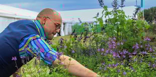 County Show to launch first ever community growing hub
