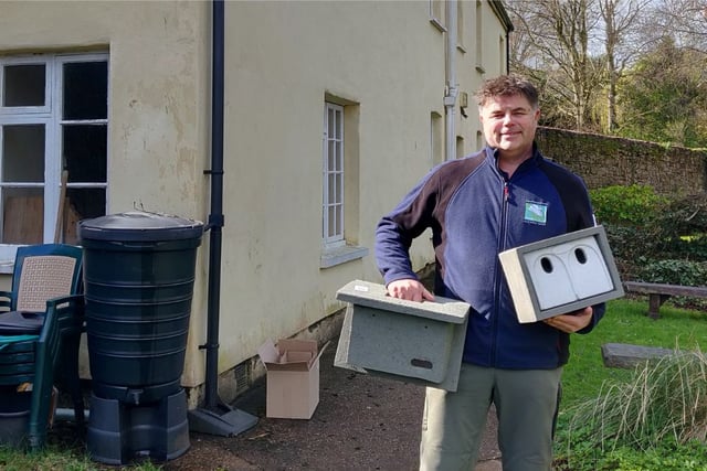 Swift nests installed to safeguard ‘distinctive’ UK bird
