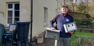 Swift nests installed to safeguard ‘distinctive’ UK bird
