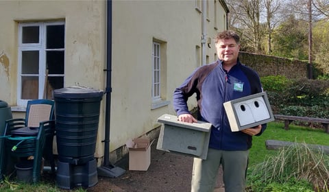 Swift nests installed to safeguard ‘distinctive’ UK bird

