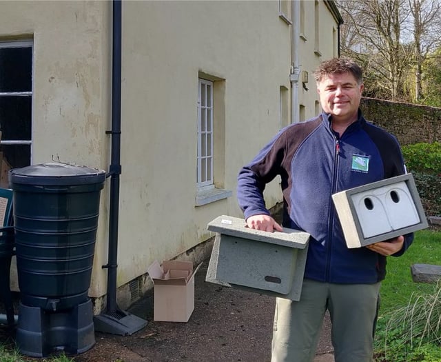 Swift nests installed to safeguard ‘distinctive’ UK bird
