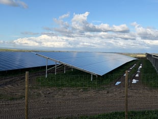 Solar panels plans for field at farm