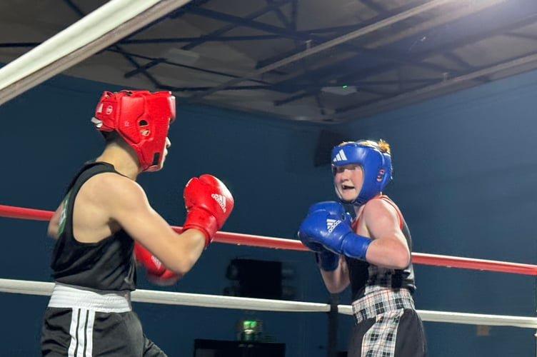 All action in the boxing ring.  AQ 9433
