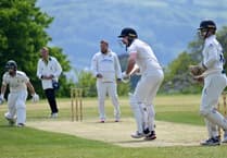 Sandford Cricket Club Second XI make best of defeat to Teignmouth and Shaldon