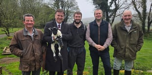 Dartmoor Farmers Deserve Policy That Understands Life on the Moor
