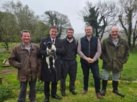 Dartmoor Farmers Deserve Policy That Understands Life on the Moor
