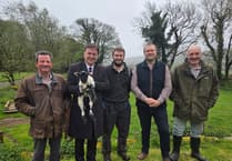 Dartmoor Farmers Deserve Policy That Understands Life on the Moor