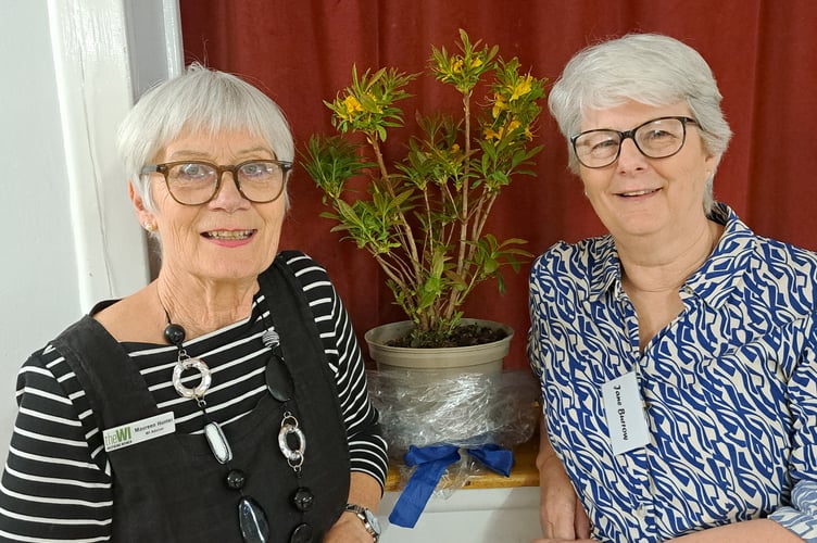 Jane Burrow, right, with DFWI Advisor Maureen Hunter, was thanked for her tireless work as President of Tedburn St Mary WI over the past four years and presented with an Azalea and a card.