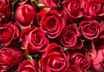 Talk on roses coming up in Crediton