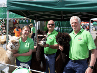 This year’s County Show was one of the best
