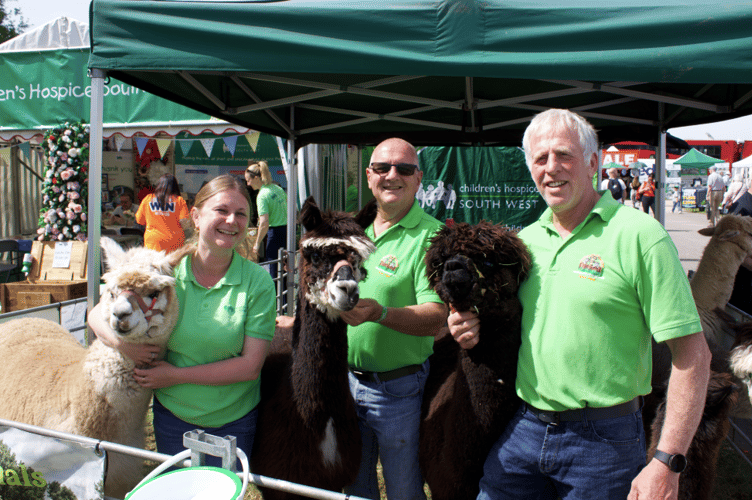 People loved seeing Woolley Animals Alpaca Walking and Farm Park of Winkleigh's alpacas