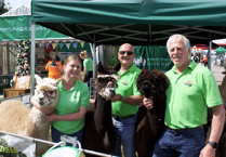 This year’s County Show was one of the best