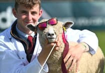 Things are hotting up at the Devon County Show
