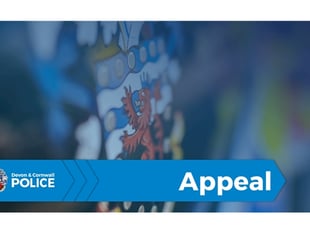 Police appeal after serious injury collision on A3072
