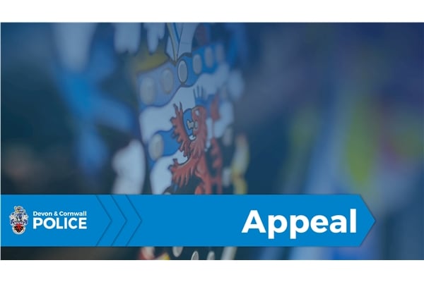 Police are appealing for witnesses and dash-cam footage after a fatal collision near South Molton.