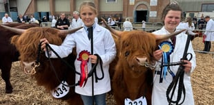 Hopes that County Show record will be smashed
