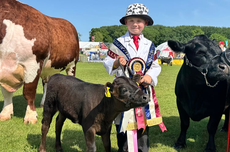 William Hamlett, 7, of Tiverton, with calf Cupcake, in the main ring at the Devon County Show. AQ 1482