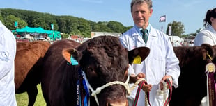 A great County Show for local exhibitors
