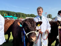A great County Show for local exhibitors
