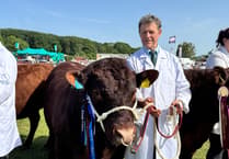 A great County Show for local exhibitors