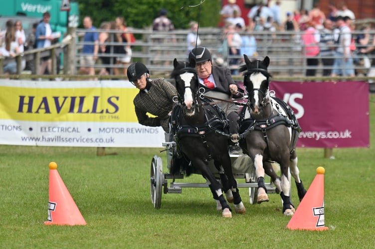 Cutting corners - the speed and thrills of scurry time trials in the main arena