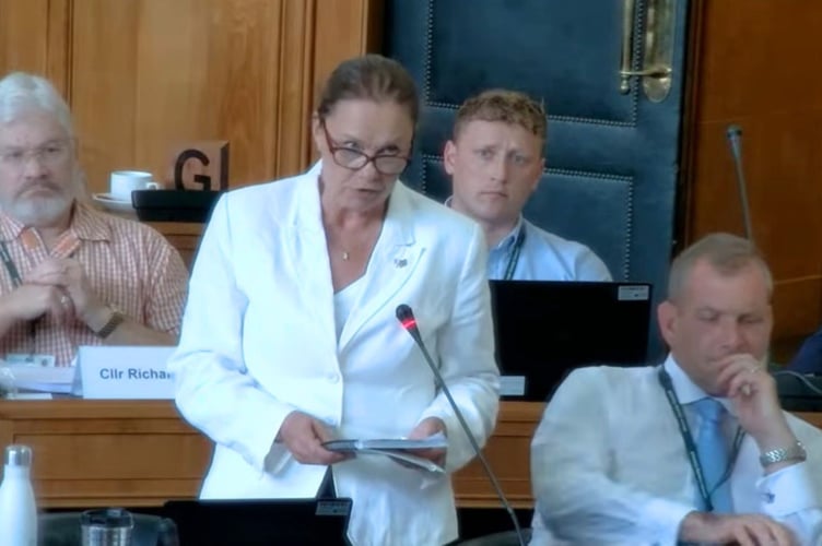 Cllr Sue Davies speaks during the Devon County Council debate