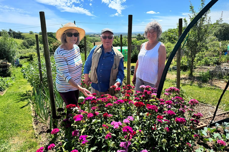 Visitors admire the allotment of Sue Viccars, right, at Morchard Bishop. AQ 2295