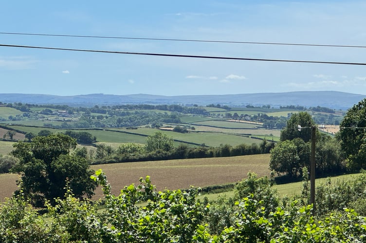 The impressive view of Dartmoor from Morchard Bishop allotments. AQ 2300