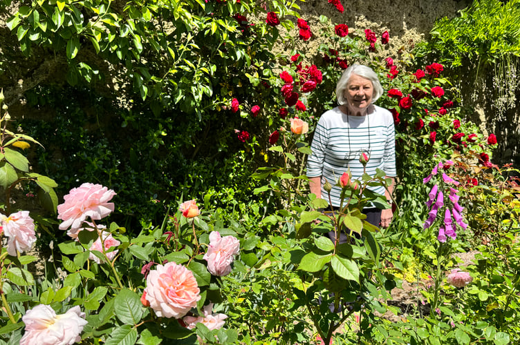 Joy Carrington in another part of her lovely garden. AQ 2283