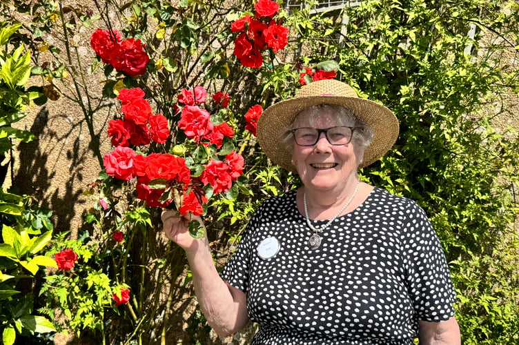 Marilyn Daw beside roses in her garden at Middle Weeke Farm. AQ 2321