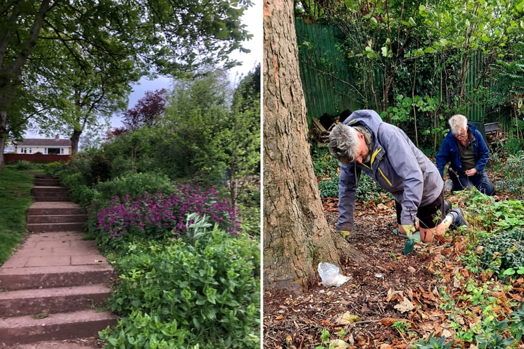 Peoples Park Wildlife area and volunteers at work.