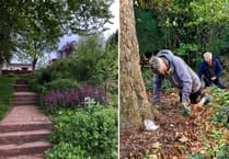 Volunteers invited to help tidy wildlife area